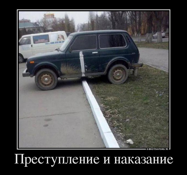 Вот это наши жены
