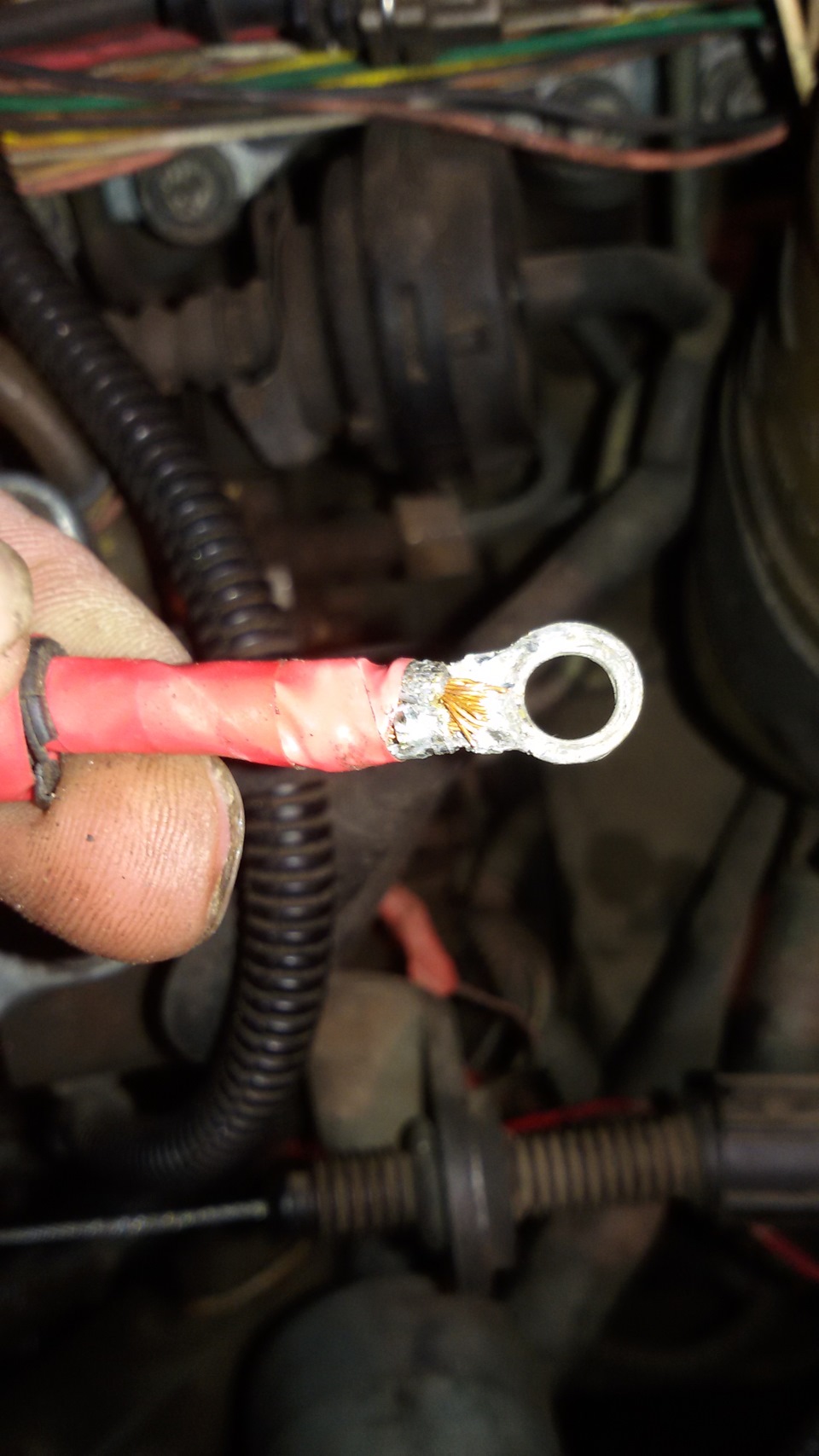 Проводка свечей накала 1. Volkswagen passat b5 колпачок свечи накала. Провода на свечи накала д245. 9. 1456887 ford.