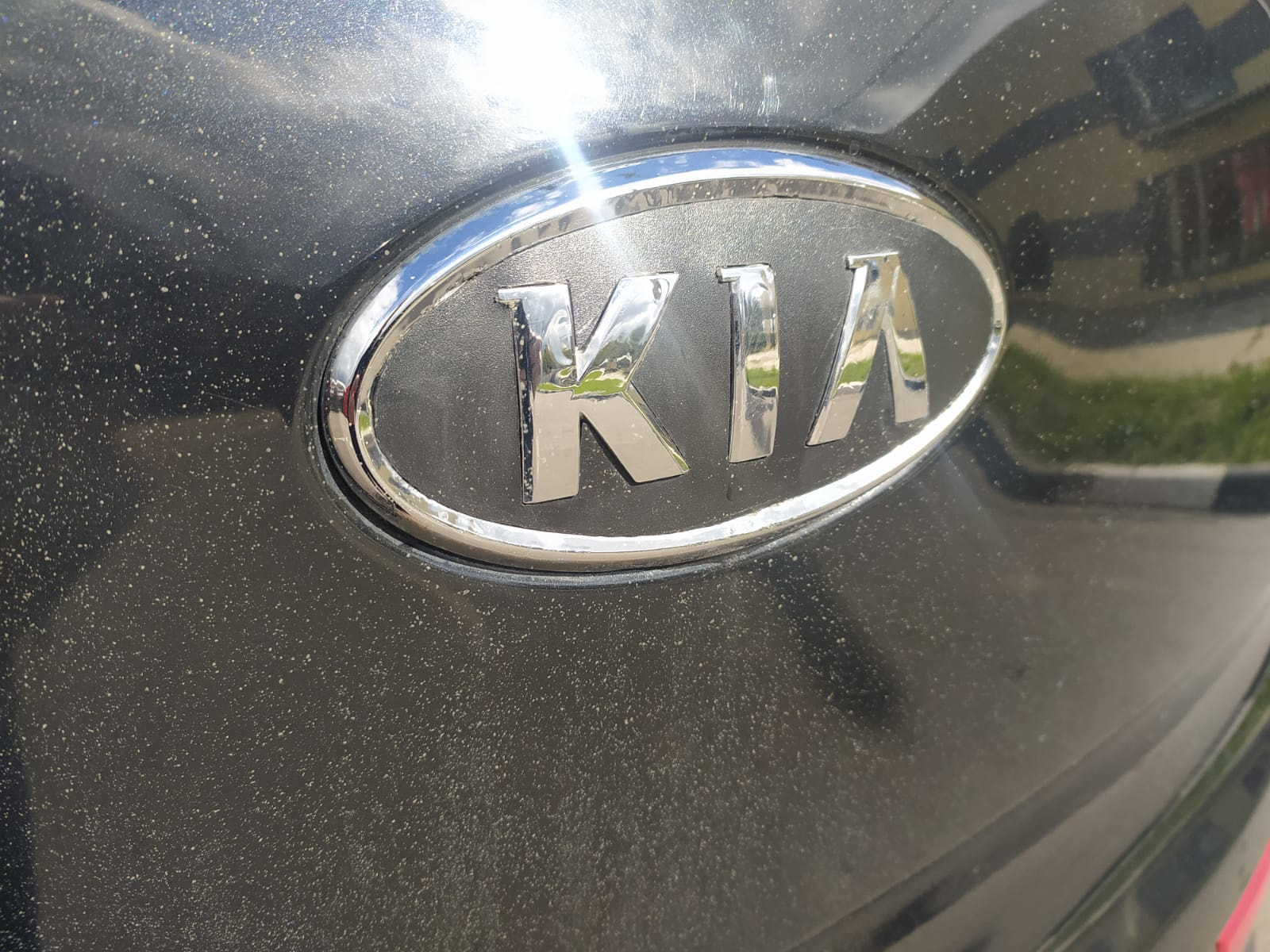 Kia logo 2022