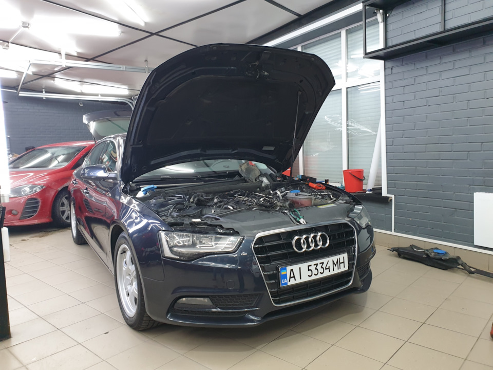 Фото в бортжурнале Audi A5 Sportback (1G)