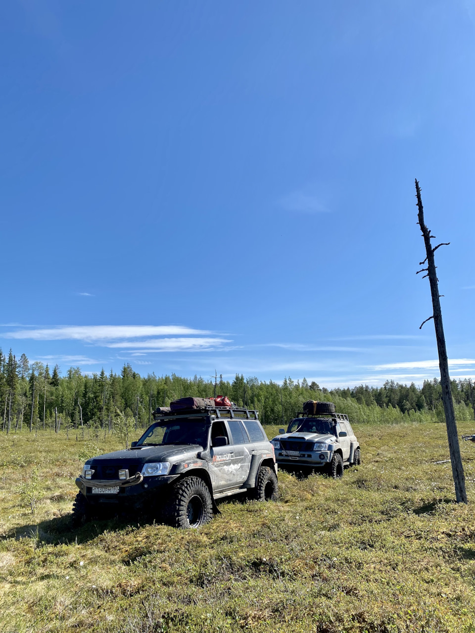 Северная Карелия 2021. Часть 1, доезд до озера. — Nissan Patrol (Y61), 3 л,  2005 года | путешествие | DRIVE2