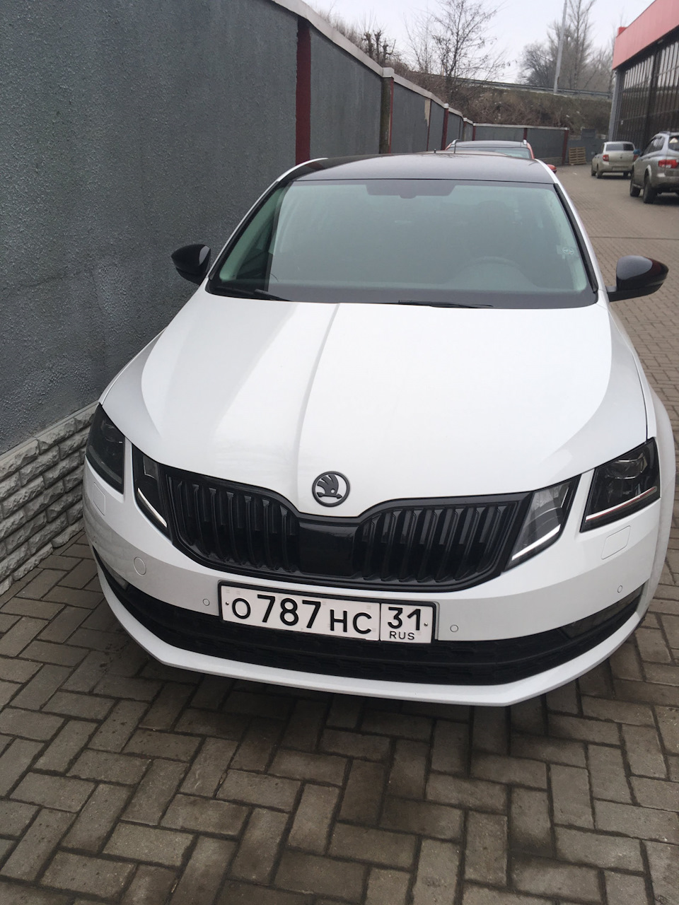 Номер без флага — Skoda Octavia A7 Mk3, 1,8 л, 2019 года | стайлинг | DRIVE2