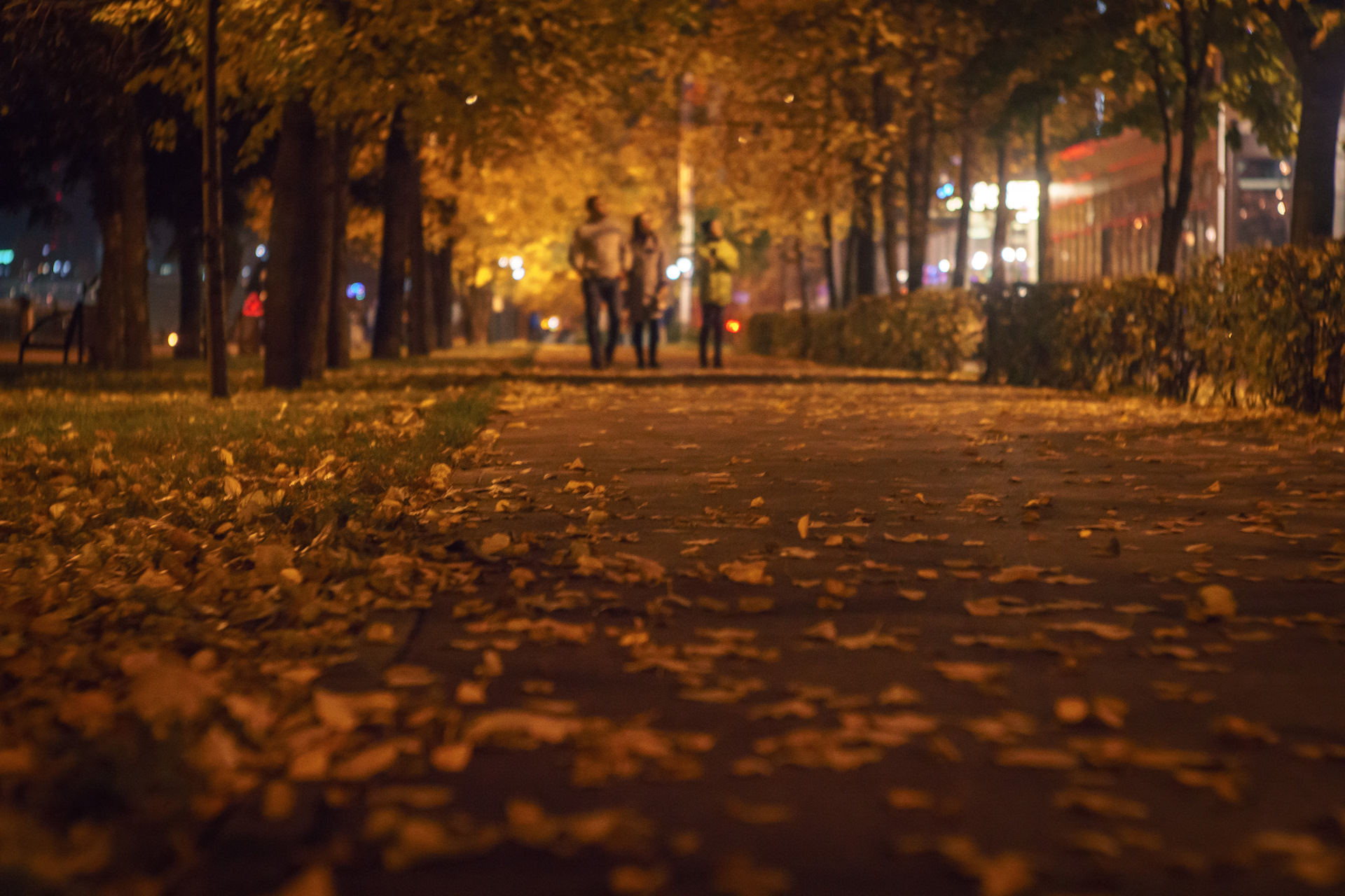 Осень вечер улица