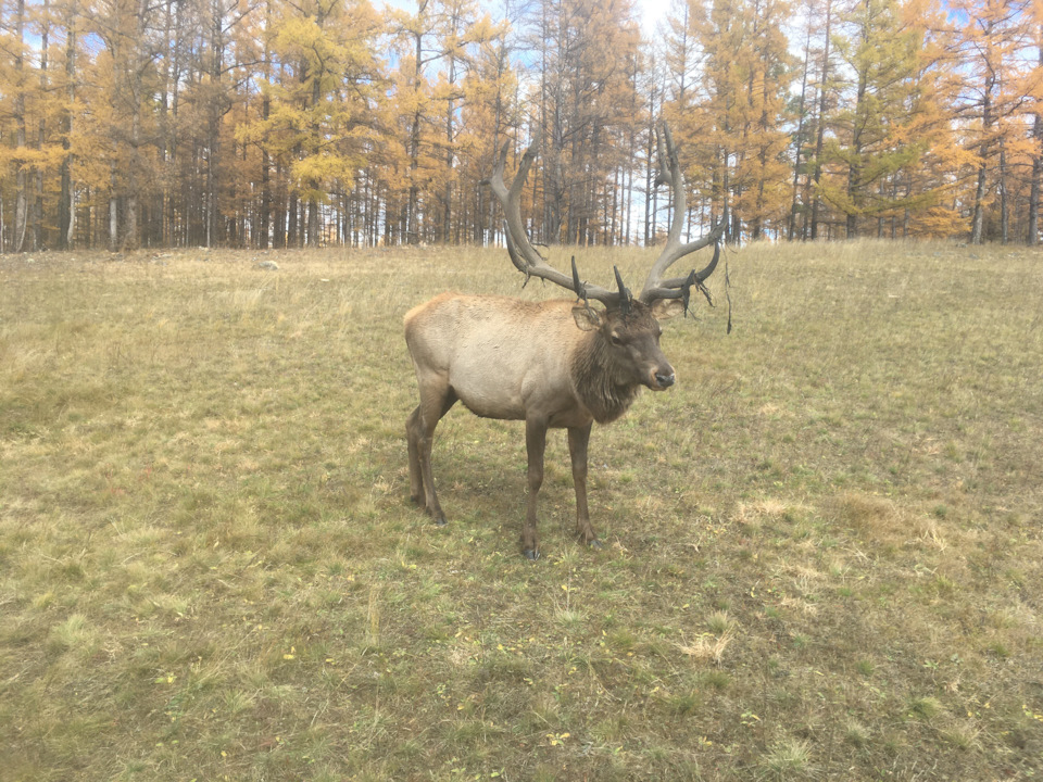 Фото в бортжурнале Chevrolet Tracker II
