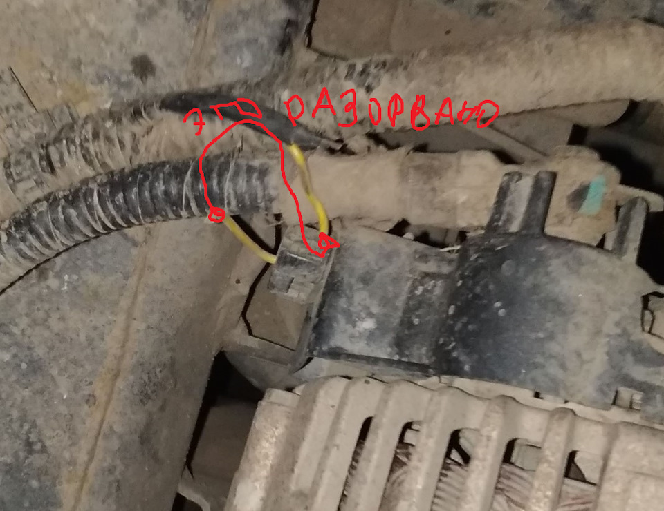 Фото в бортжурнале SsangYong Kyron