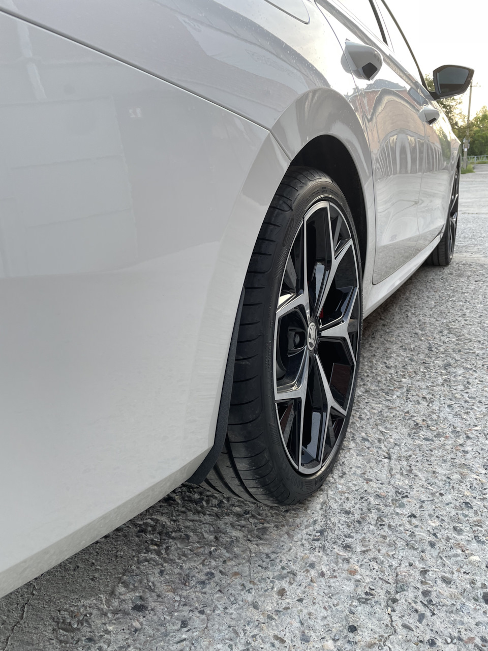 Крутые брызговики — Skoda Octavia RS A8 Mk4, 2 л, 2023 года | просто ...