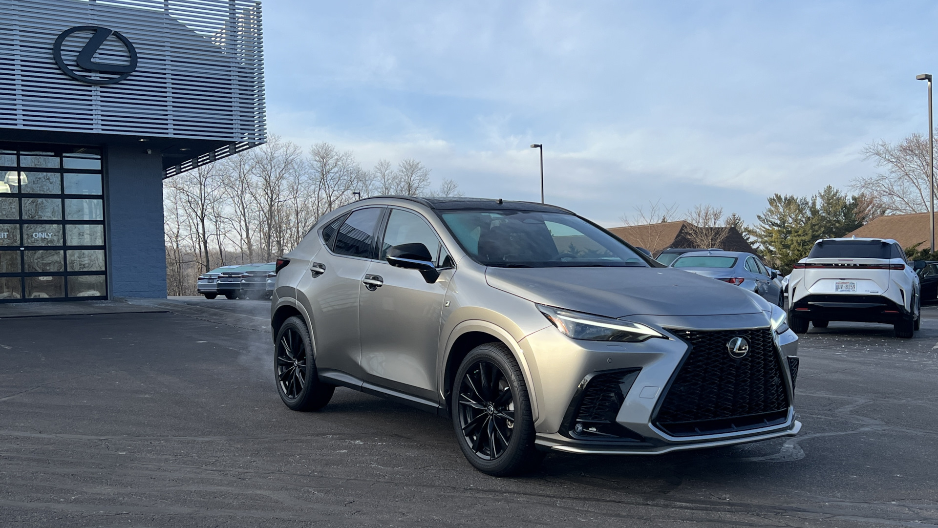 Шум от колес. Визит в сервис. Новый RX. — Lexus NX (2G), 2,4 л, 2022 года |  шины | DRIVE2