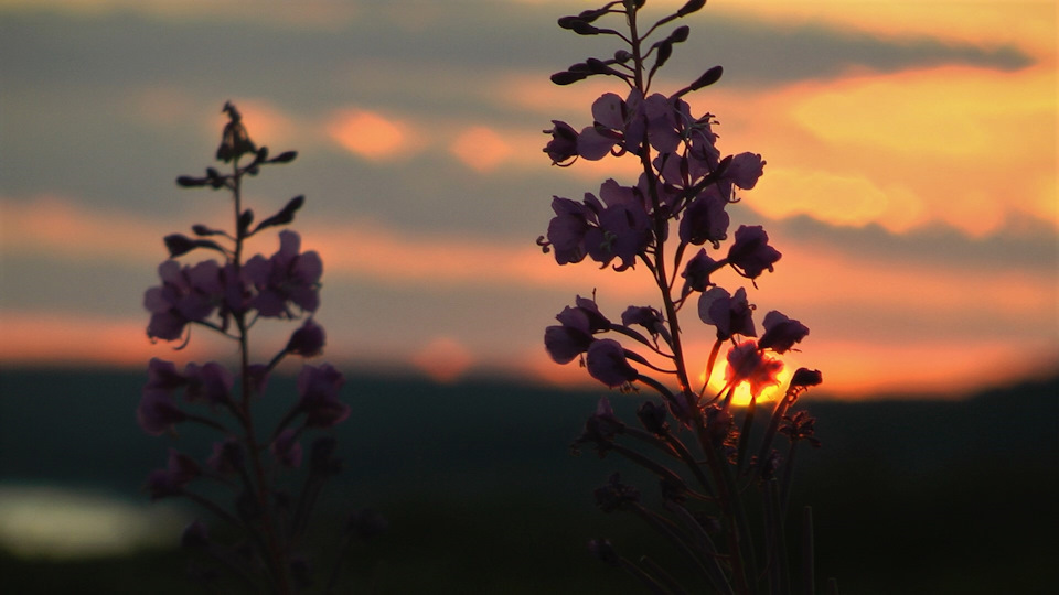 Фото в бортжурнале Mitsubishi Pajero Sport (2G)