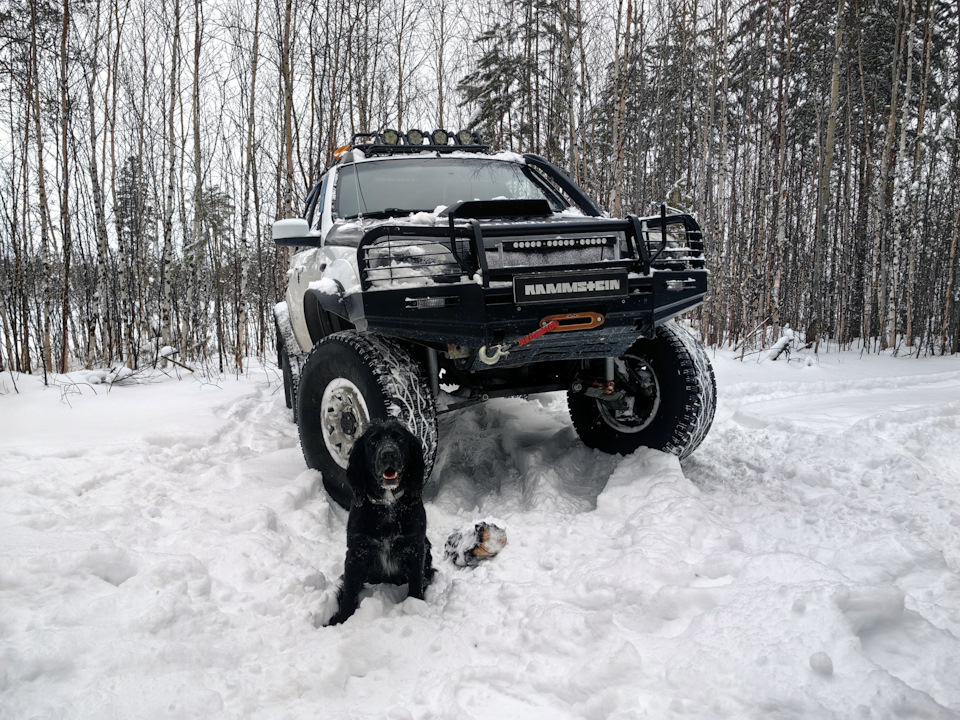 Фото в бортжурнале Chevrolet Niva