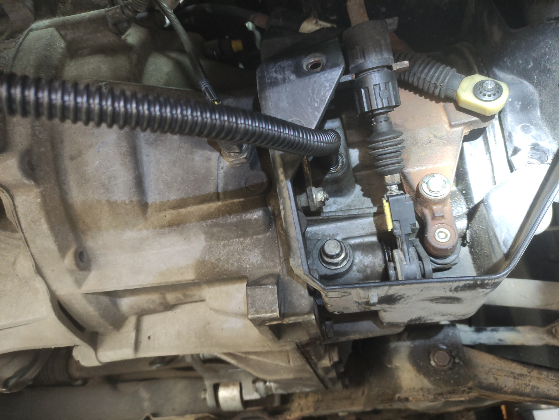 Замена сальника привода, тот что на коробке передач — Ford Focus I ...