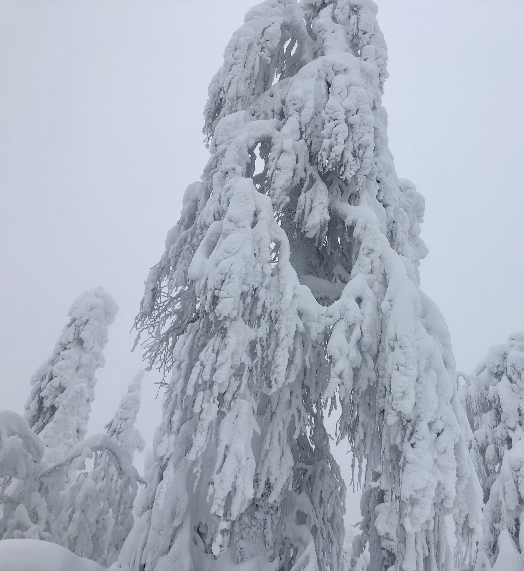 Полюдово Пермский край