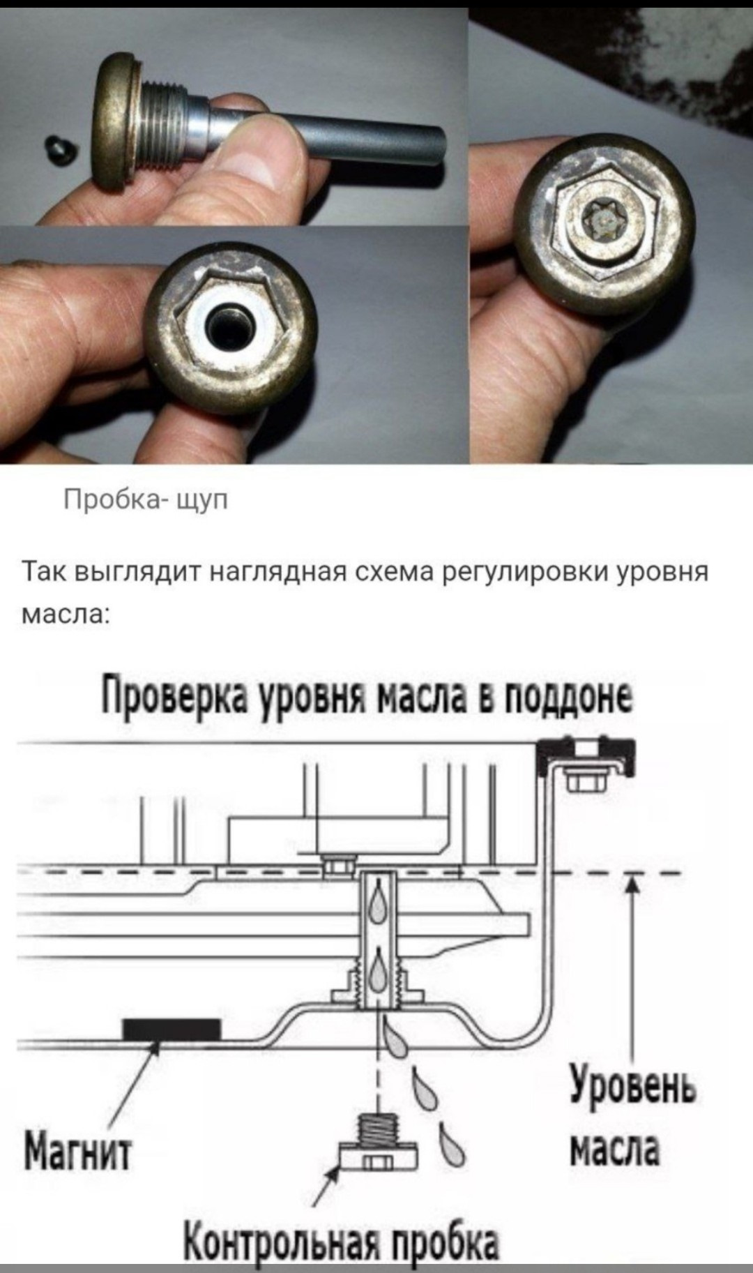 Пробка сливная АКПП AISIN tf70 артикул. Пробка сливная АКПП AISIN tf70. Сливная пробка АКПП AISIN Warner AW TF-70sc. Замена масла в АКПП на оборудовании схема.
