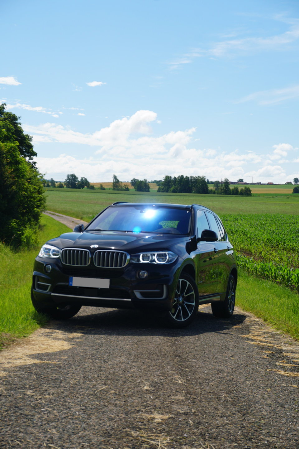 Покупка б/у авто из Германии, не выходя из дома — BMW X5 (F15), 3 л, 2017  года | покупка машины | DRIVE2