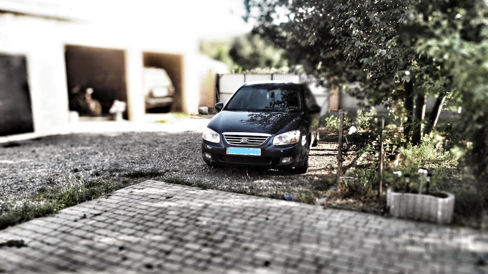 Промывка двигателя при смене масла — KIA Cerato (1G), 1,6 л, 2008 года ...