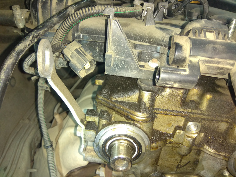 через какой пробег менять ремень грм на весте. Смотреть фото через какой пробег менять ремень грм на весте. Смотреть картинку через какой пробег менять ремень грм на весте. Картинка про через какой пробег менять ремень грм на весте. Фото через какой пробег менять ремень грм на весте через какой пробег менять ремень грм на весте. Смотреть фото через какой пробег менять ремень грм на весте. Смотреть картинку через какой пробег менять ремень грм на весте. Картинка про через какой пробег менять ремень грм на весте. Фото через какой пробег менять ремень грм на весте