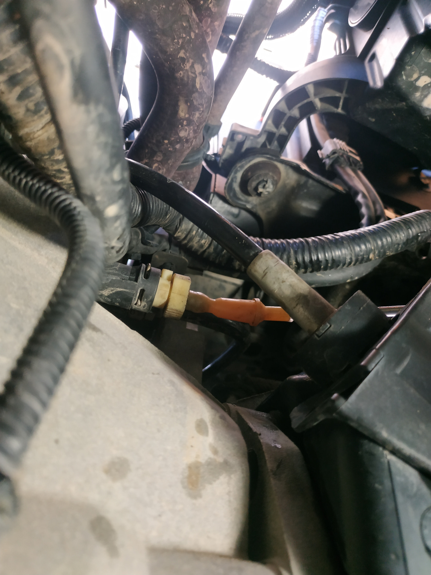 Замена тормозной жидкости, прокачка тормозов и сцепления — Ford Focus ...