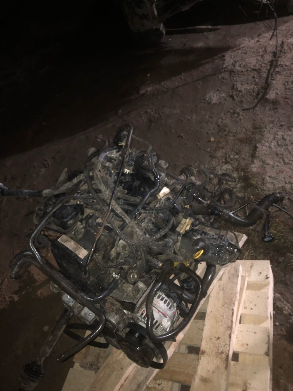 Фото в бортжурнале Skoda Octavia A4 Mk1