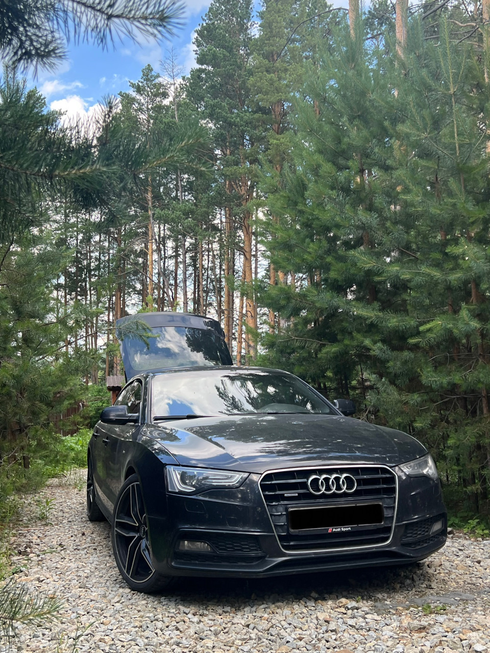 Фото в бортжурнале Audi A5 Sportback (1G)