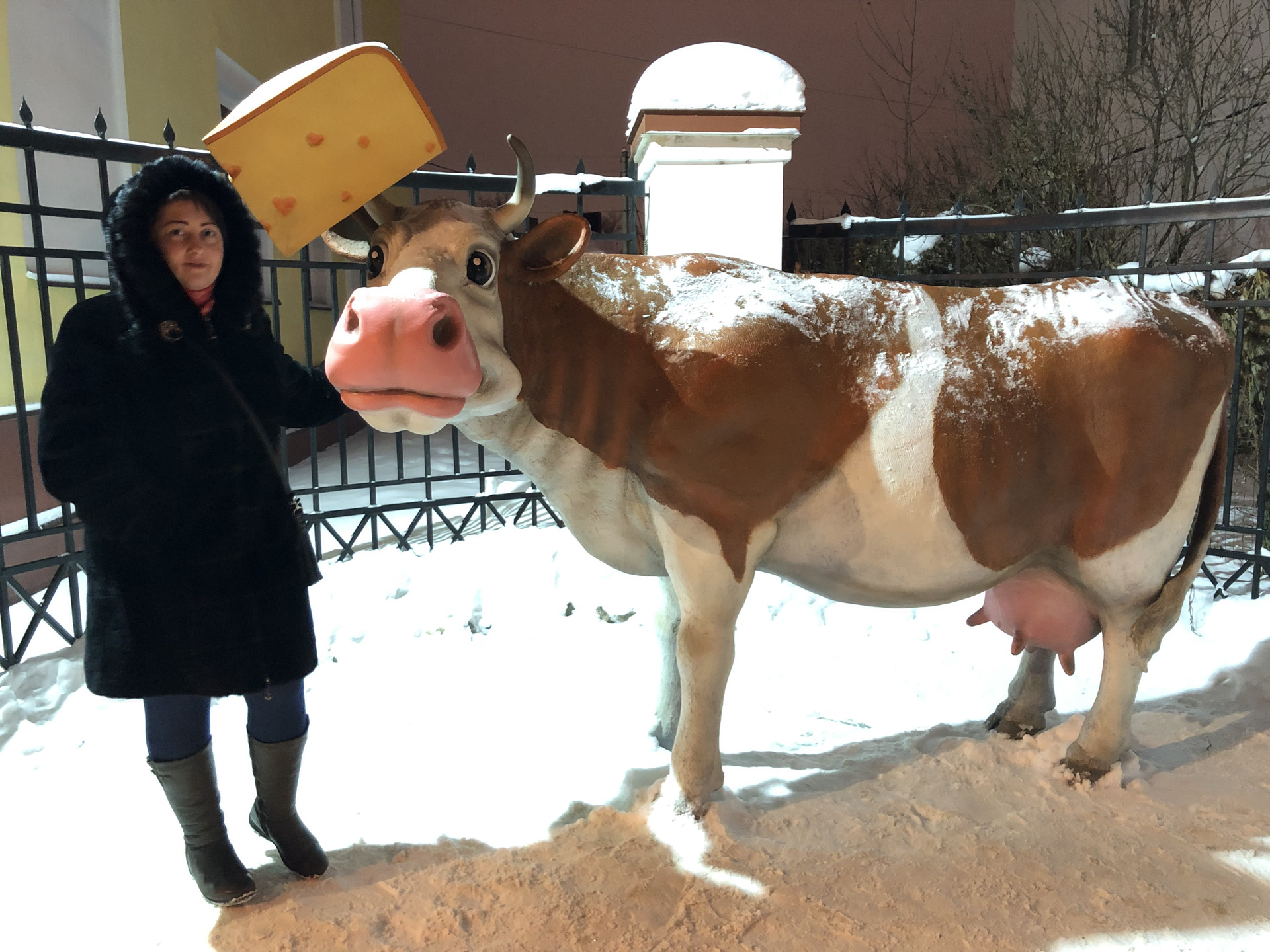 Кострома музей сыра корова