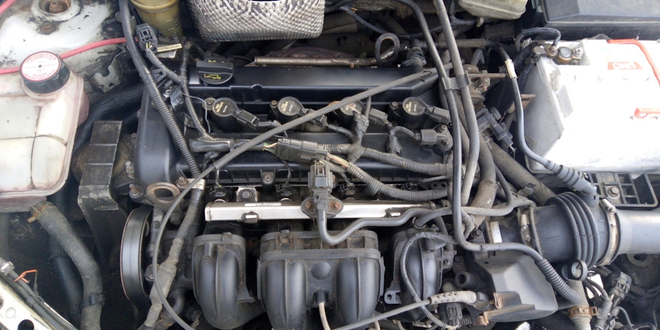 Фото в бортжурнале Ford Focus Sedan II