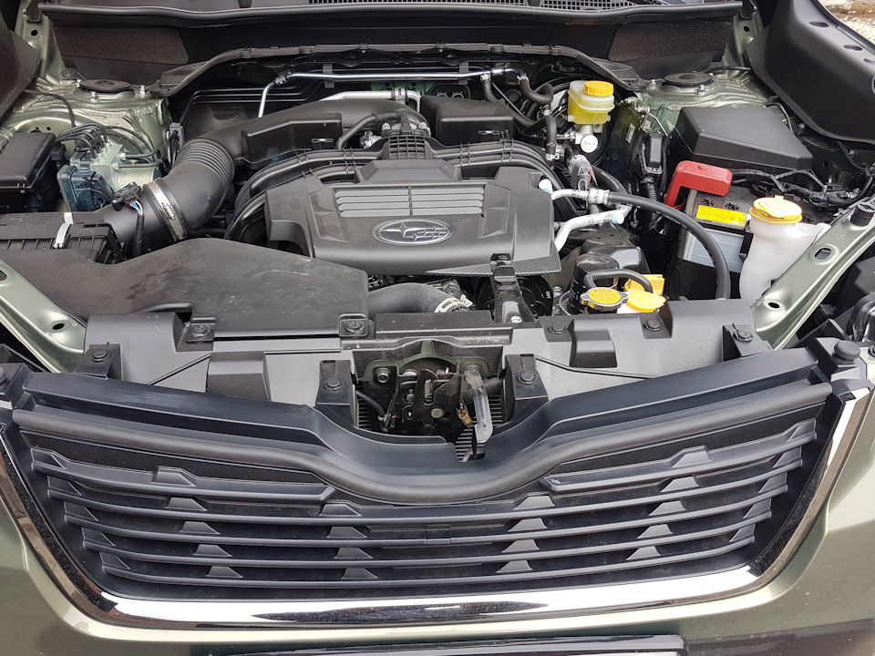 Защита от грязи подкапотного пространства. — Subaru Forester (SK), 2,5 ...