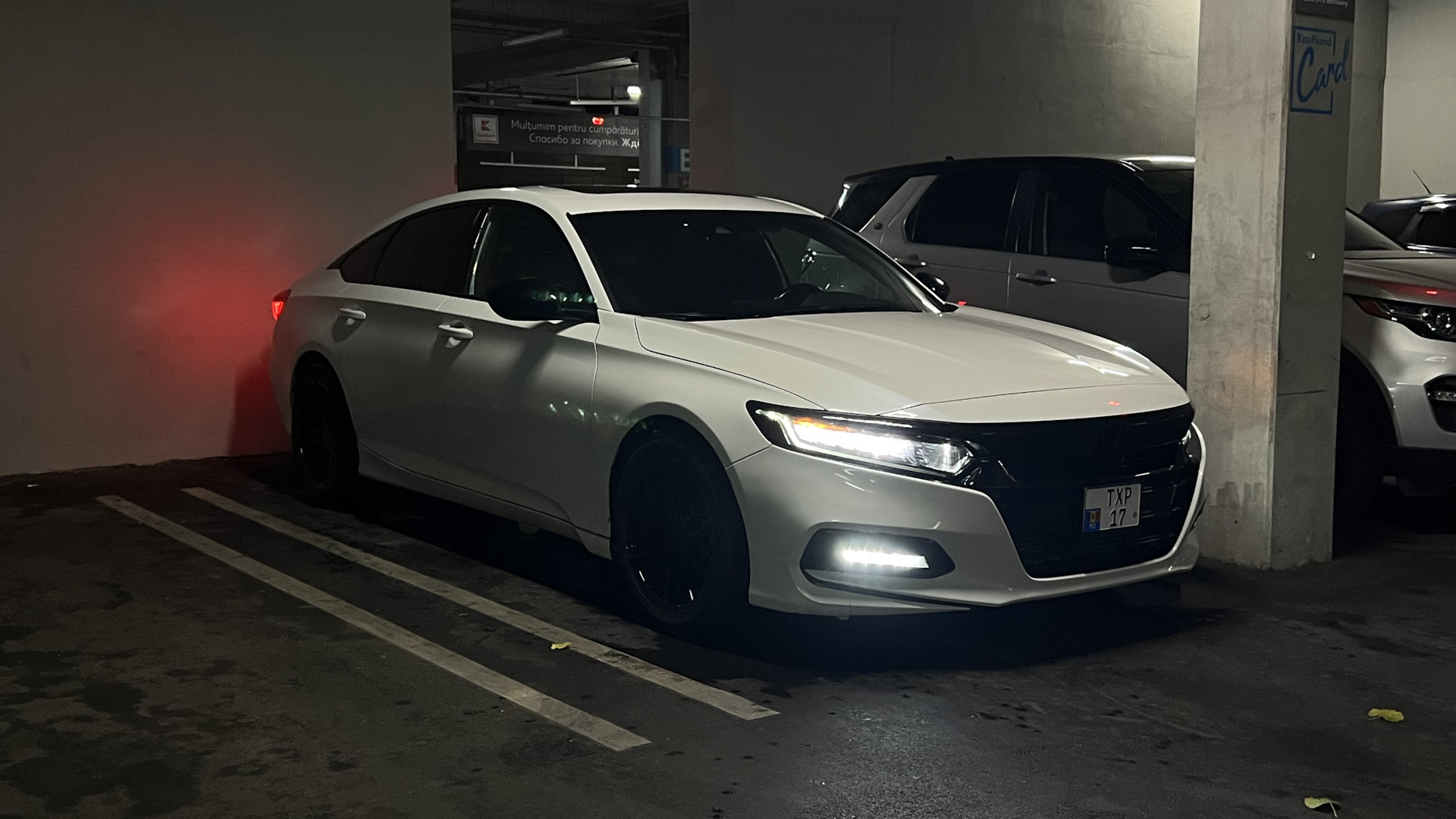 Honda Accord (10G) 2.0 бензиновый 2019 | Медведь на DRIVE2