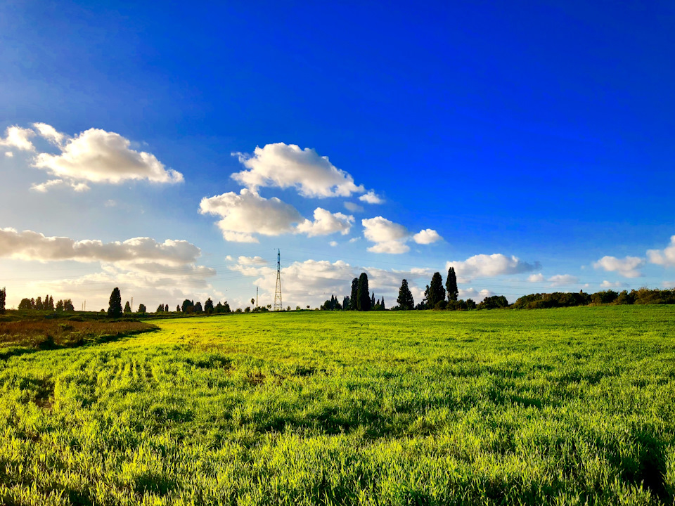 около дома…ходим выгуливать собак сюда — Suzuki Jimny (1G)