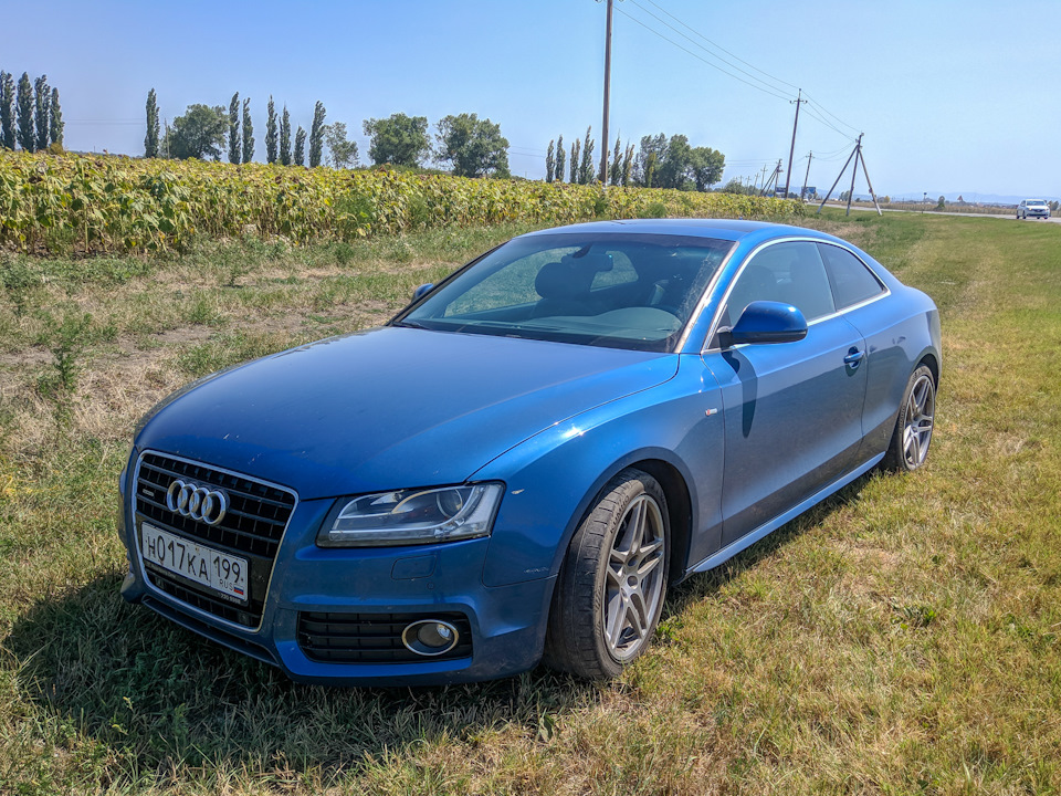 Позади поля подсолнухов — Audi A5 (1G)