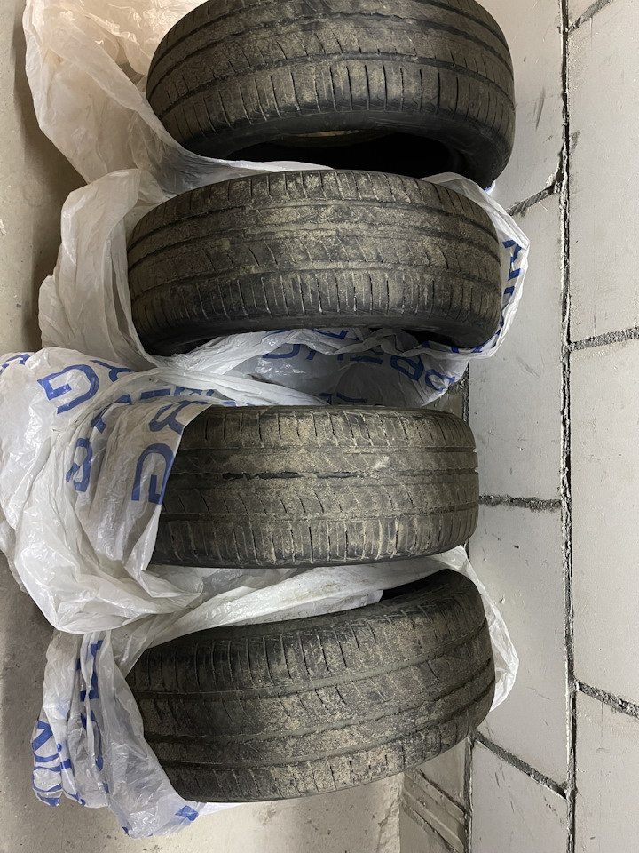 Шины летние Pirelli 195/55 R16 на Volkswagen Polo liftback. Б/у | 18 ...
