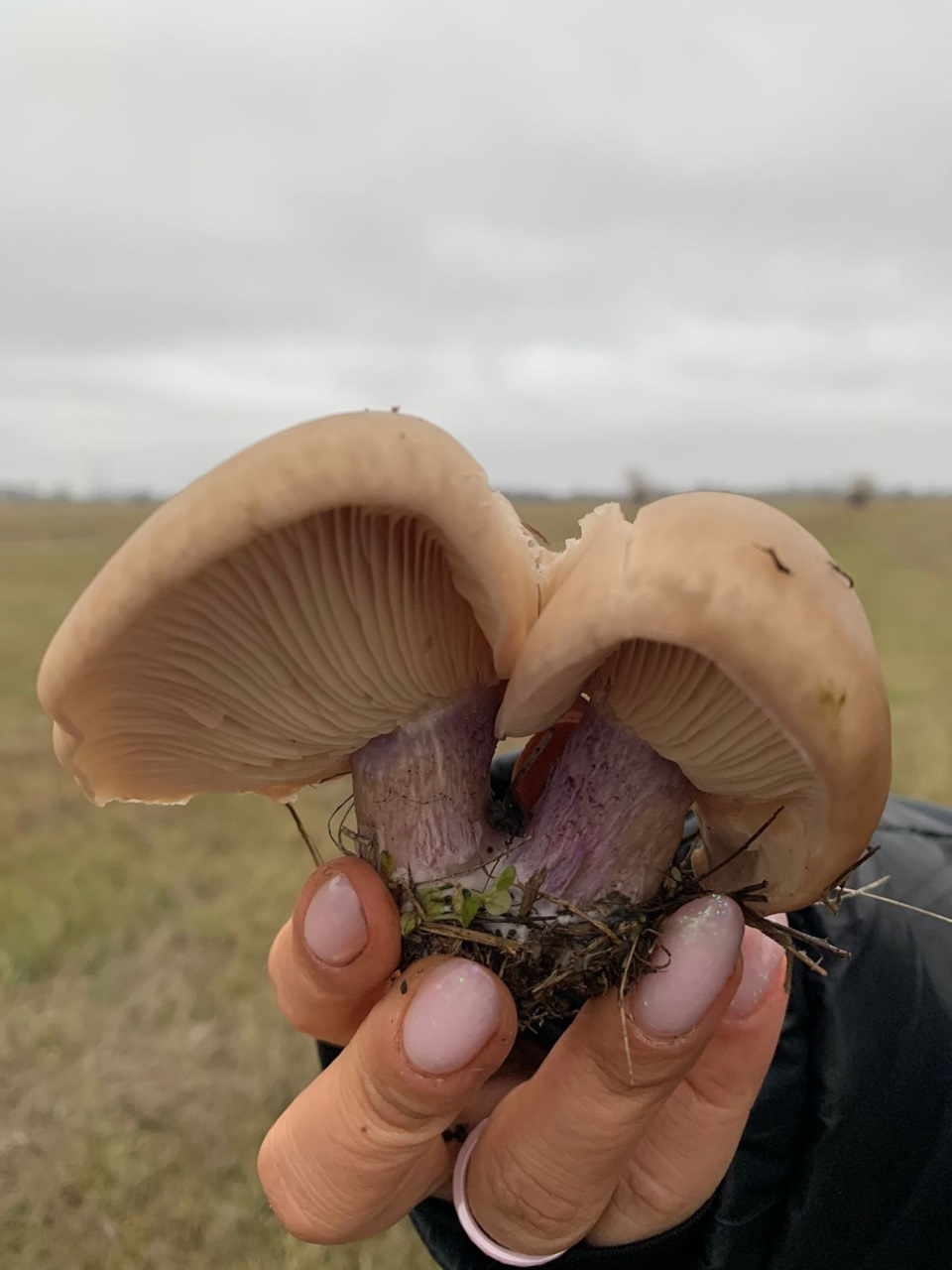 Фото в бортжурнале УАЗ Patriot