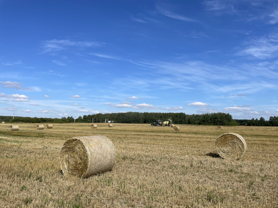 Устроили целую фотосессию с этими тюками :) — Cadillac Escalade (3G)