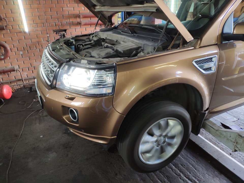 Фото в бортжурнале Land Rover Freelander 2