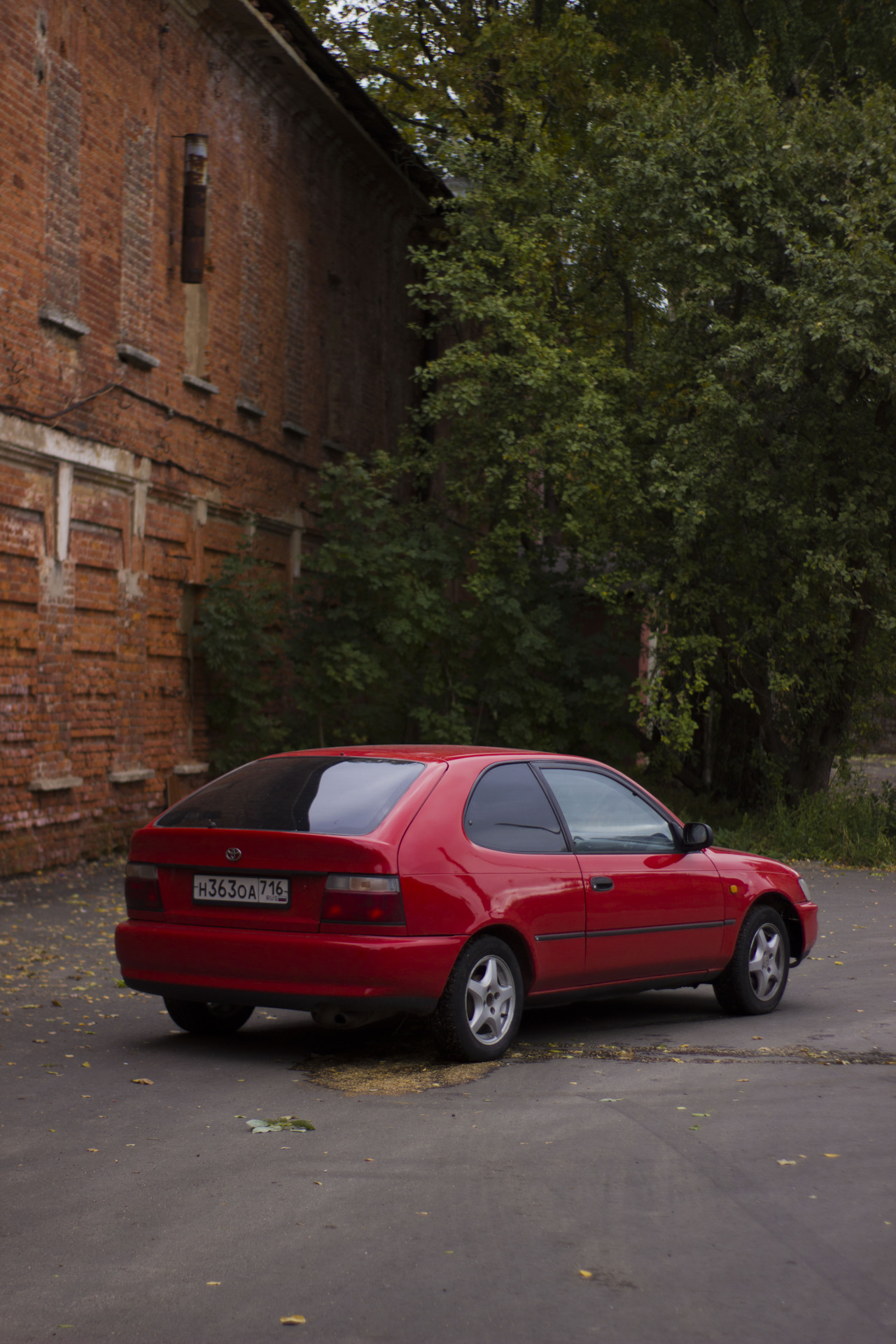 Машина покрашена и на бодром ходу — Toyota Corolla (100), 1,6 л, 1995 ...