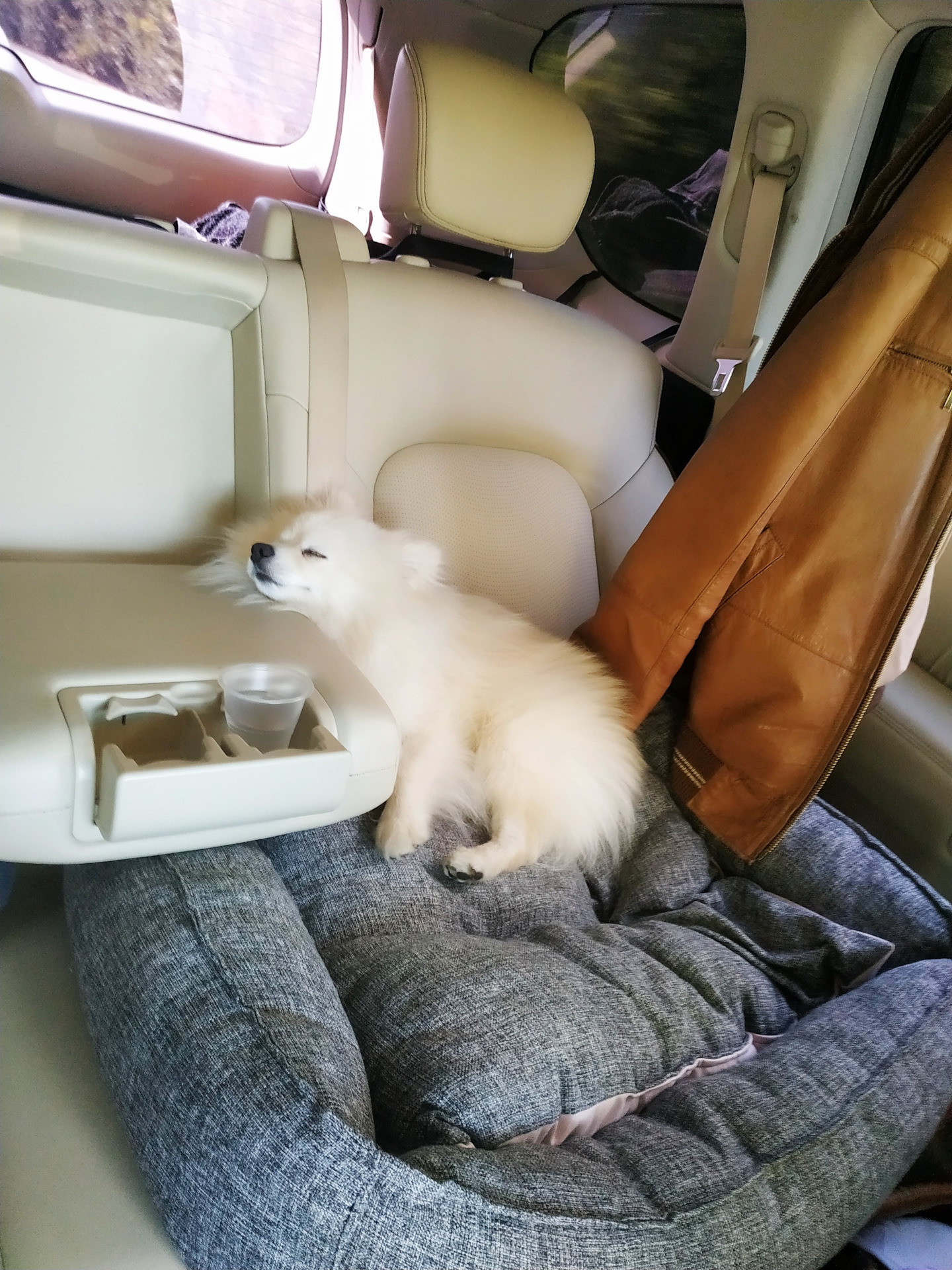 Ремонт гидроподвески, ТО, мысли по Extreme A.M.G GTI — Nissan Patrol ...