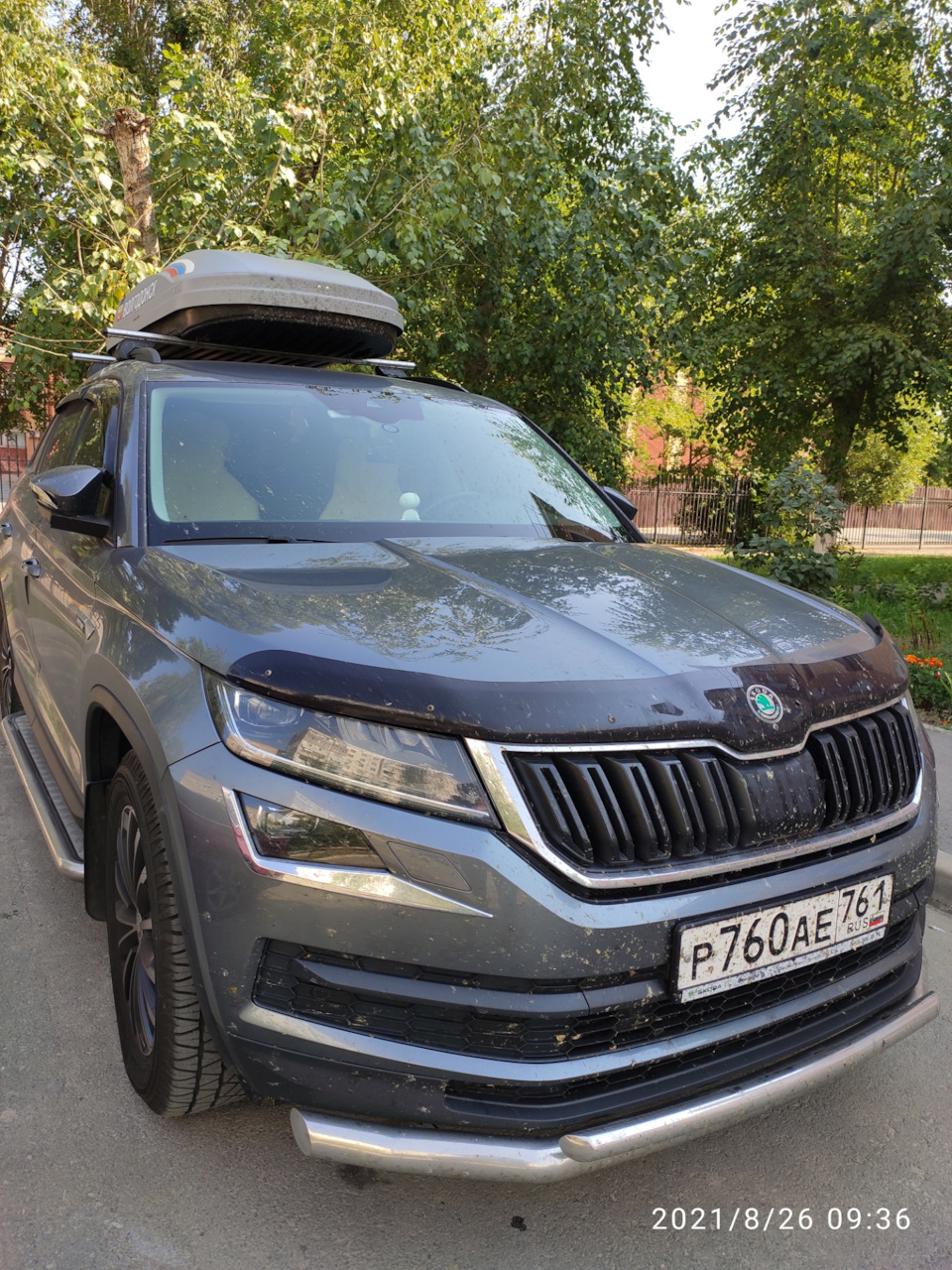 Дома. — Skoda Kodiaq, 2 л, 2019 года | просто так | DRIVE2