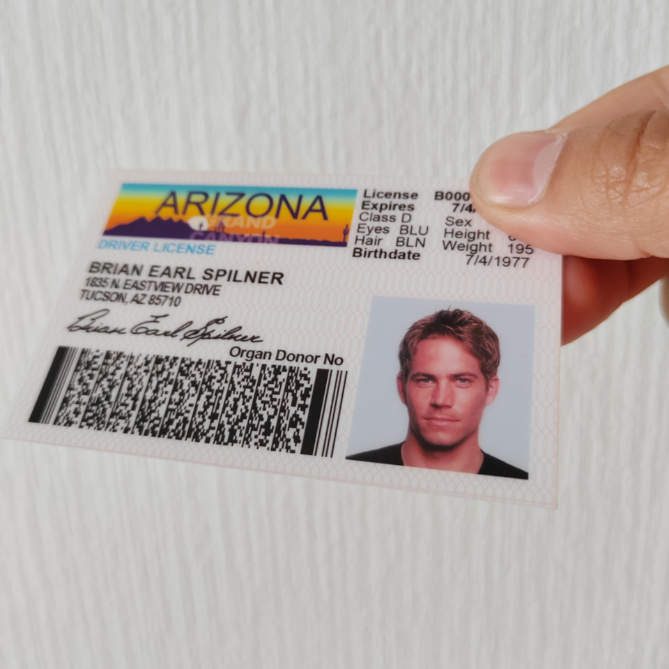 Сувенирные водительские права Пол Уокер (DRIVER LICENCE ARIZONA) 86х56 ...