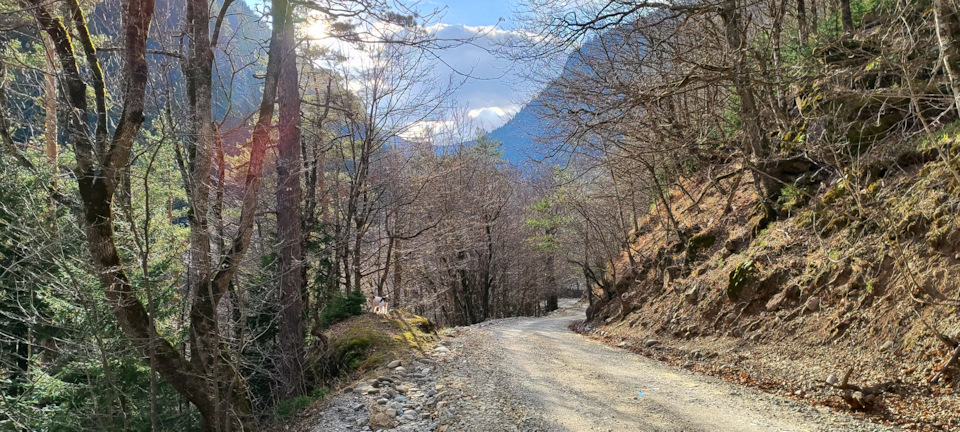 Фото в бортжурнале Mitsubishi Pajero (4G)