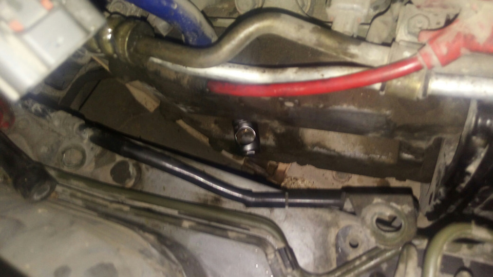 Фото в бортжурнале Subaru Forester (SF)