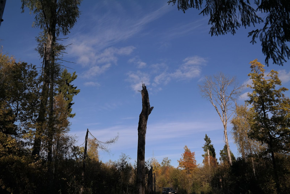 Природа нехотя отвоёвывает своё — Land Rover Discovery II