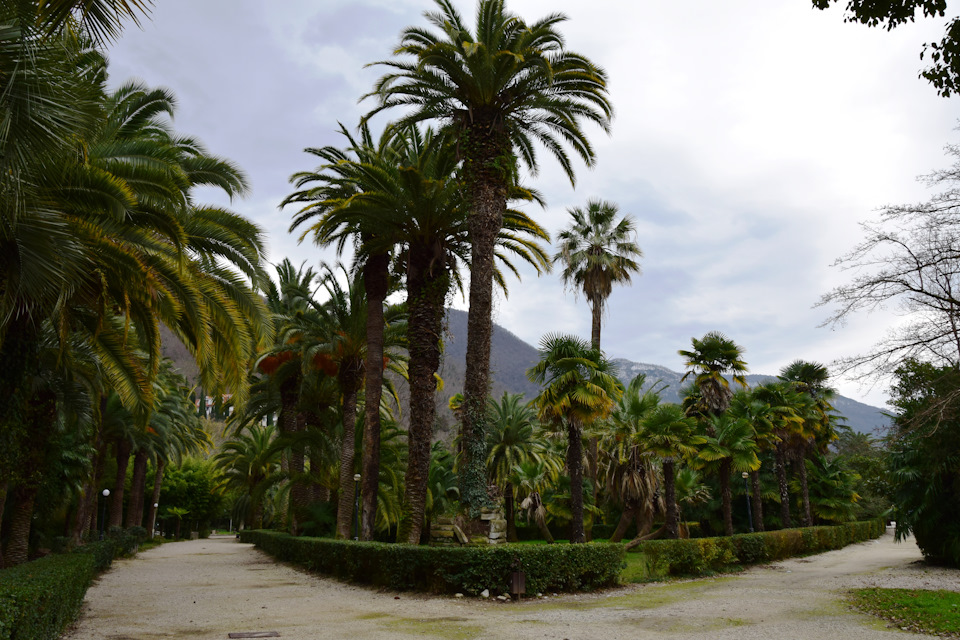 Не нравятся заводские дворники. Антихром — Lada Vesta (1G), 1,6 л, 2018 ...