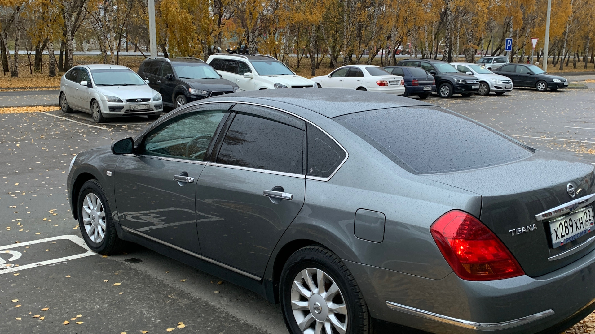 Nissan Teana (J31) 2.3 бензиновый 2007 | Таня на DRIVE2