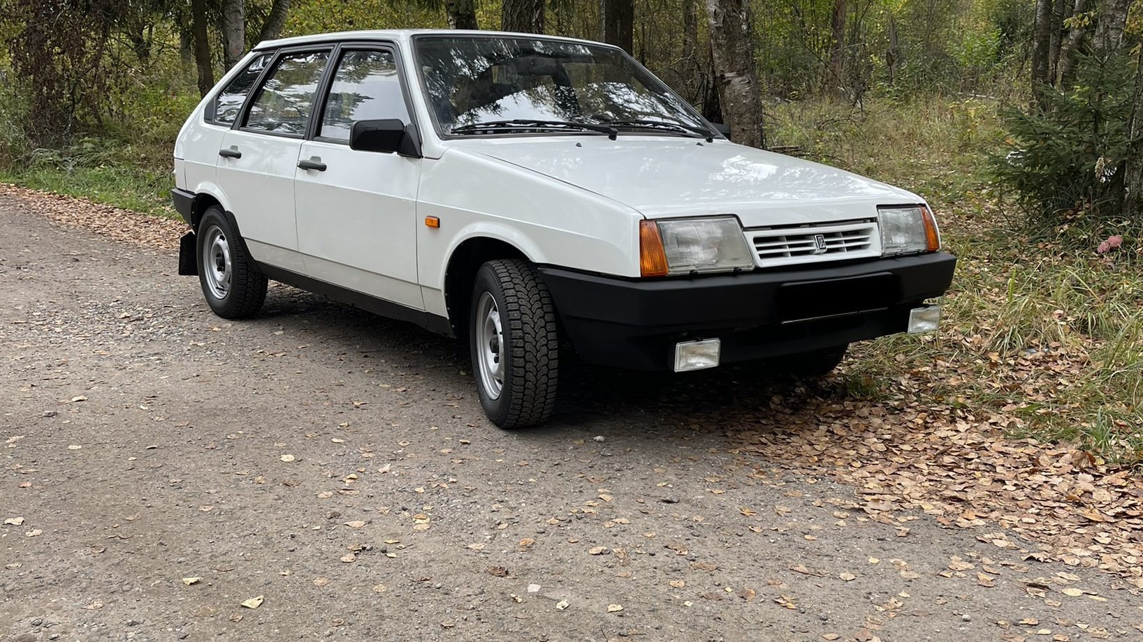 Lada 2109 1.3 бензиновый 1991 | Вторая жена на DRIVE2