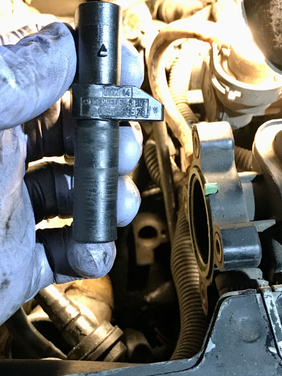 Фото в бортжурнале Smart Roadster