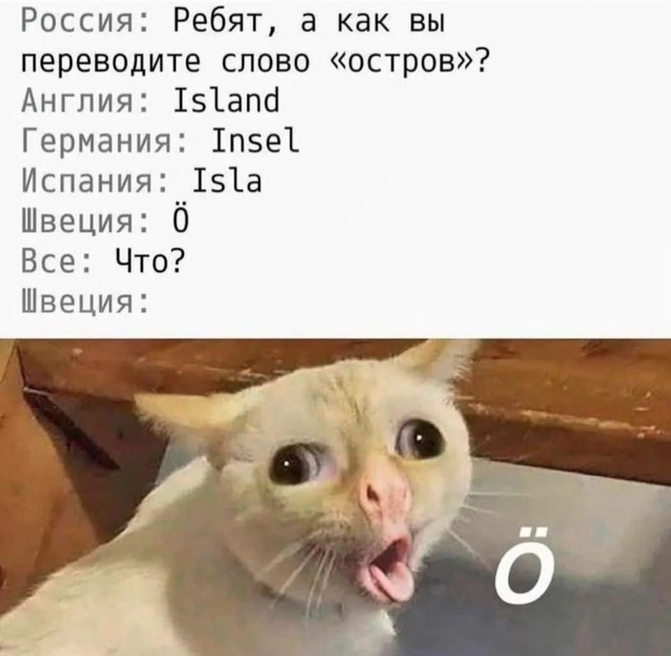 Кот на немецком