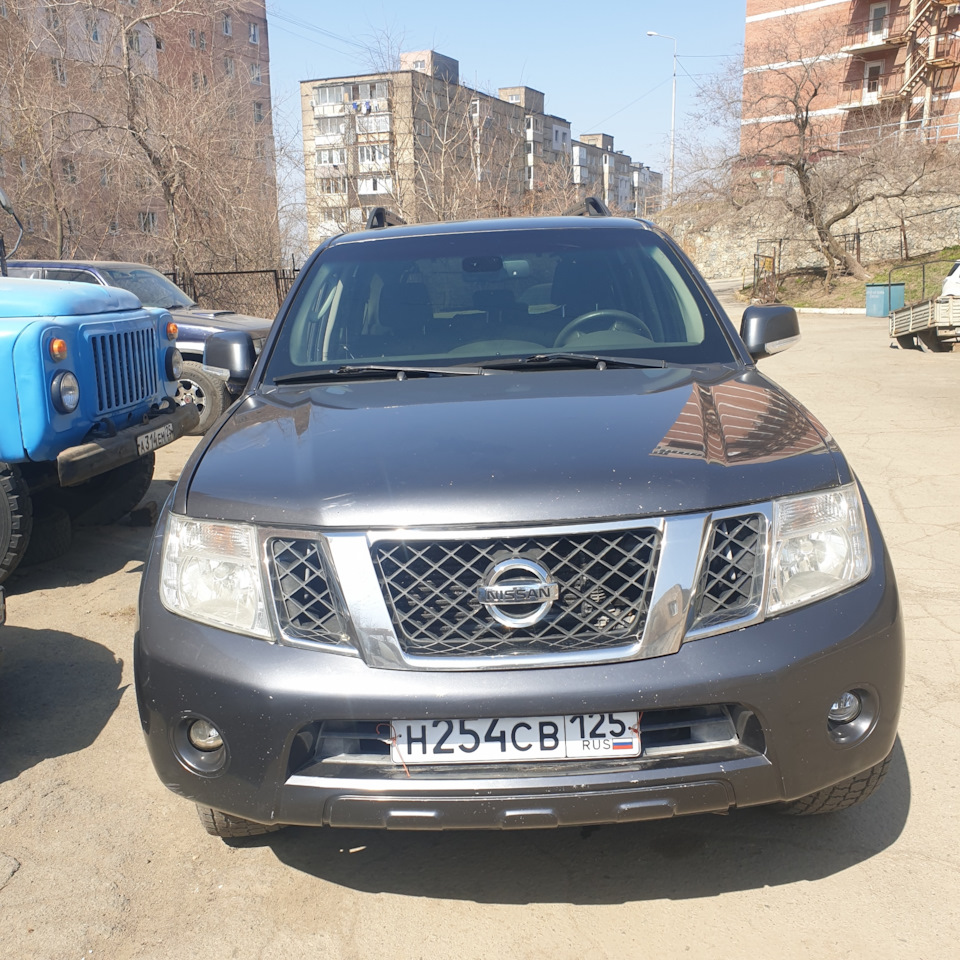 Номера, страховка техосмотр — Nissan Pathfinder (3G), 2,5 л, 2012 года | покупка  машины | DRIVE2