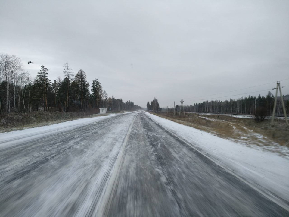 Соболь Зимой Фото