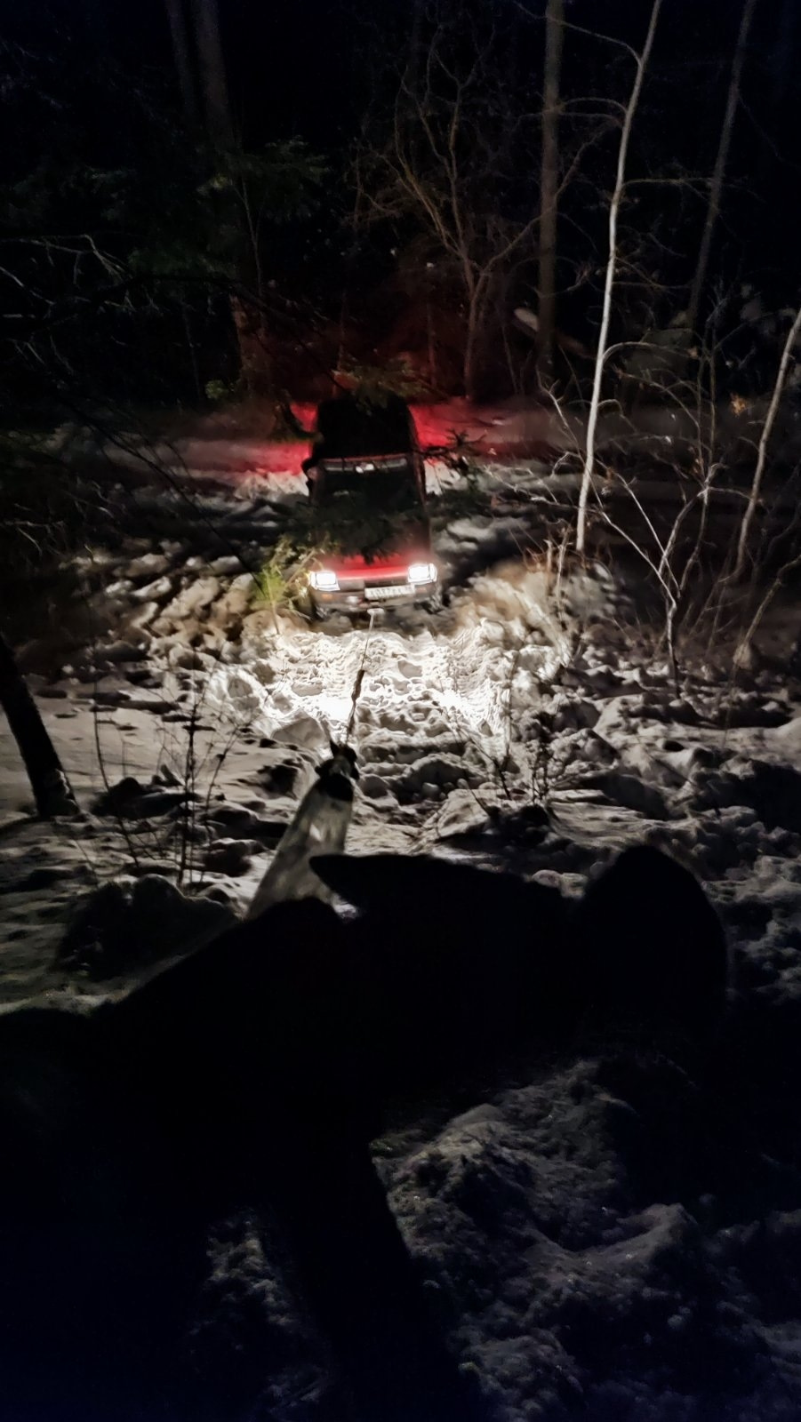 Просто фото — Mitsubishi Minica (4G), 0,6 л, 1986 года | фотография ...