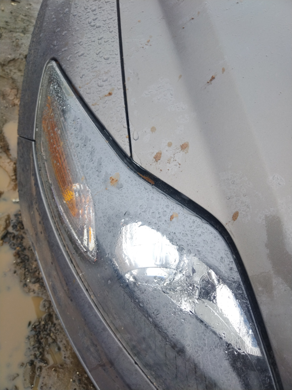 Регулировка зазоров капота — Ford Mondeo IV, 2 л, 2012 года ...