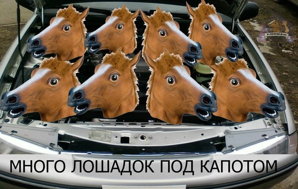 Огромный табун лошадей. Под капотом табун песня. Под капотом табун песня. Донская (казачья степная) лошадь. Машина конь реклама.