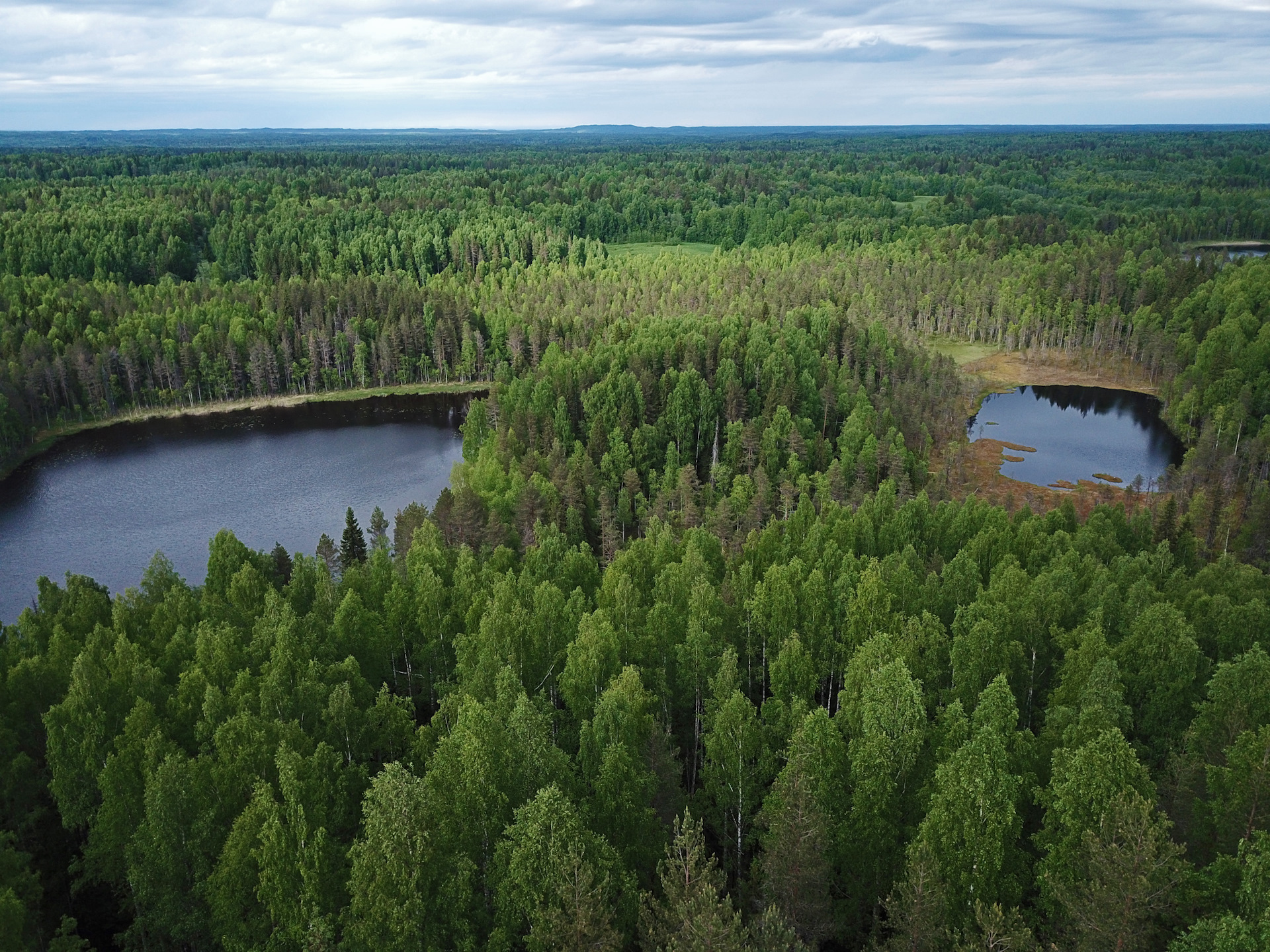 Заповедник кенозерье карта